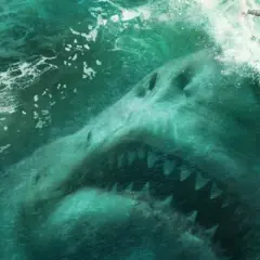 The Meg: Jason Statham w widowiskowej walce z prehistorycznym rekinem