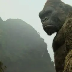 Kong: Wyspa Czaszki 2 - Co wiemy o kontynuacji hitowego filmu?